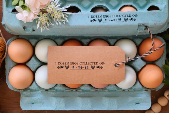 One Dozen Eggs Collected on Rubber Stamp Egg Collecting Stamp Fresh Chicken  Eggs Egg Carton Stamp Chicken Egg Date Stamp 