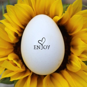 Disfrute de sello de huevo - sello de huevo de goma - sello de huevo de pollo - sello de huevo de pato - sello de huevos frescos - sello de goma personalizado