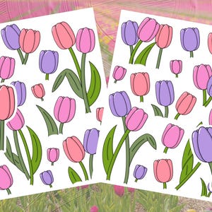 Tulipani - adesivi