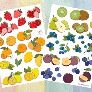 Collezione di frutta arcobaleno - adesivi