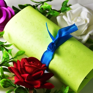 May include: A rolled-up, light green scroll tied with a blue ribbon, surrounded by a red, white, and purple rose, and green leafy vines. The scroll is the focal point, suggesting a certificate or special announcement.