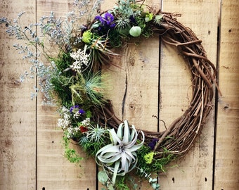 Airplant Wreaths