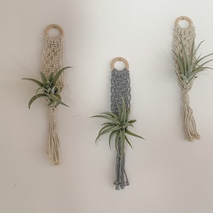 Macrame Mini Air Plant hanger| Boho inspired home decor | Unique | Handmade | Plant Hanger