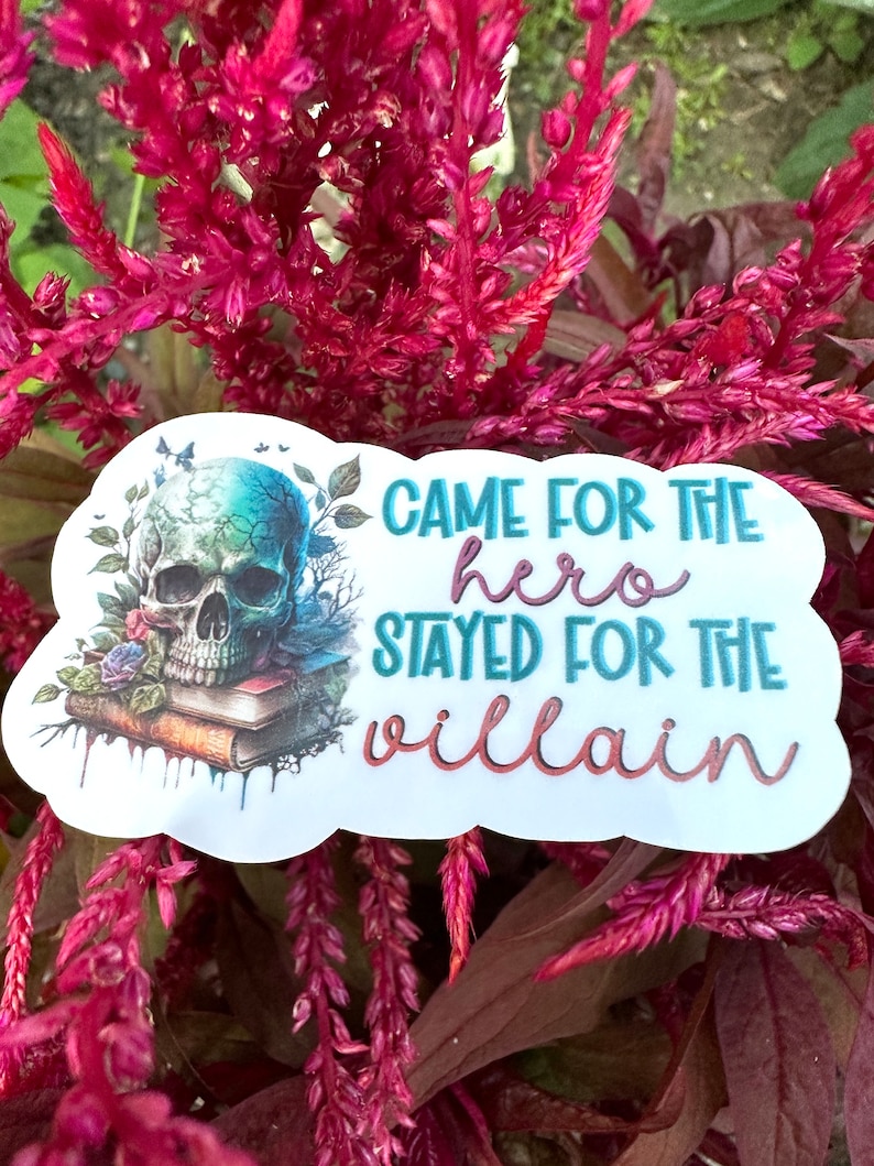 May include: A white sticker with a skull and crossbones design and the text "Came for the hero stayed for the villain". The skull is green and blue with a floral design around it. The text is in a teal blue color.