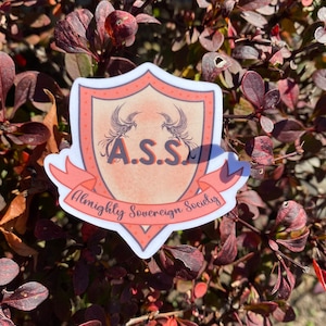 Zodiac Academy Inspired A.S.S Club Sticker