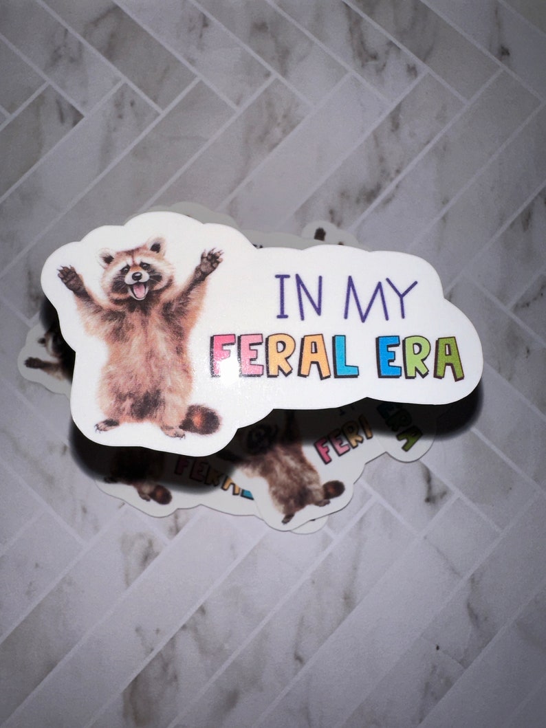 May include: A sticker featuring a cartoon raccoon with the text "In My Feral Era" in rainbow colours.
