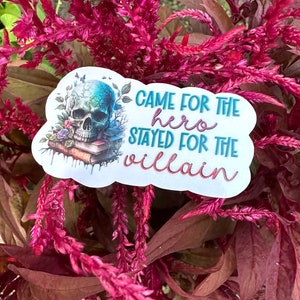 May include: A white sticker with a blue and green skull with a book and flowers. The text on the sticker reads "Came for the hero stayed for the villain".