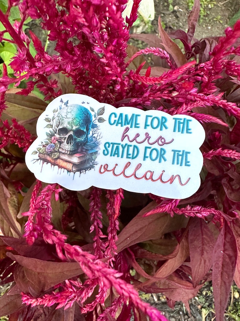 May include: A white sticker with a blue and green skull with a book and flowers. The text on the sticker reads "Came for the hero stayed for the villain".