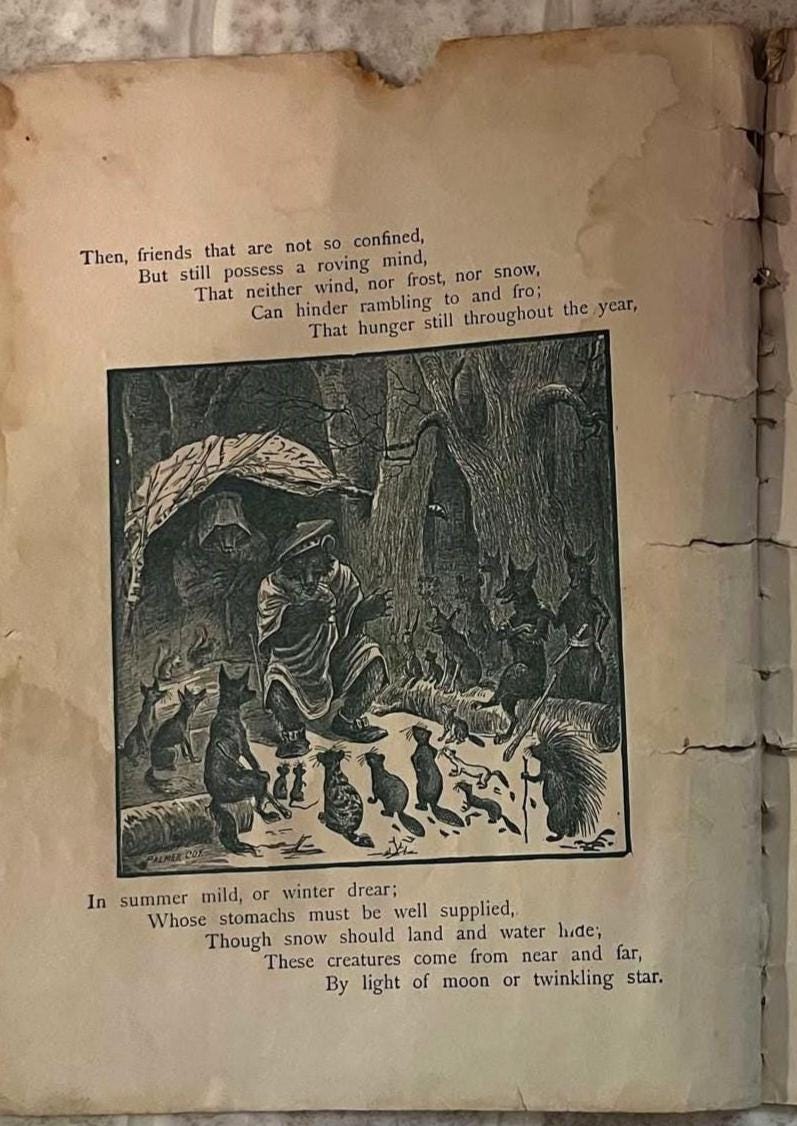 Palmer Cox Book - Etsy