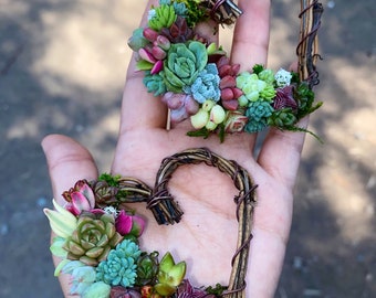 Mini Heart LIVE Succulent Wreath