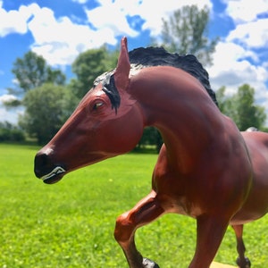 Breyer CM Traditional Vintage Arabian - “Zuko”
