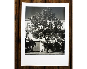 Toulouse - 12x16" art print