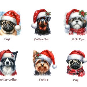 Dog Christmas Gift -Personalized Box Of Dog Treats - Dog Xmas Gift Box - Puppy Treats - Doggy Christmas Present- Doggy Treats image 8