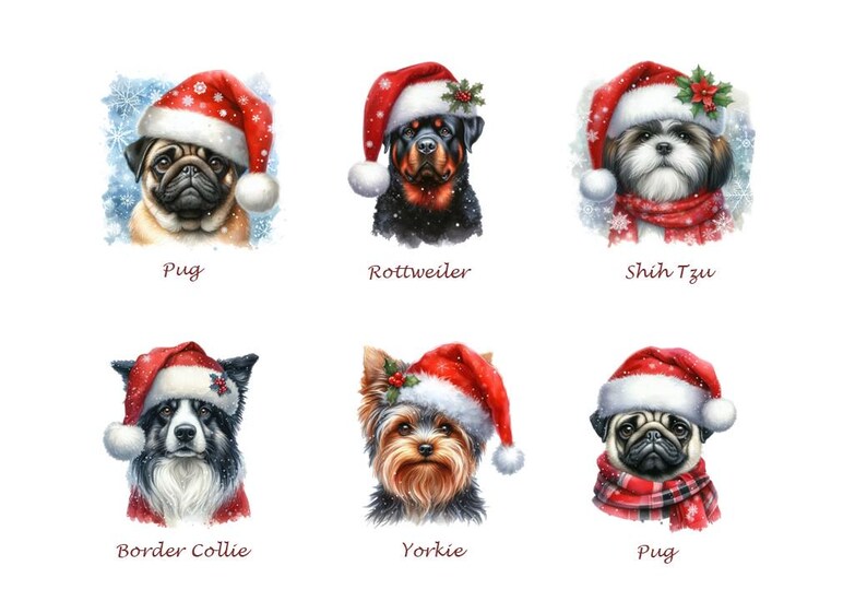 Dog Christmas Gift -Personalized Box Of Dog Treats - Dog Xmas Gift Box - Puppy Treats - Doggy Christmas Present- Doggy Treats image 8