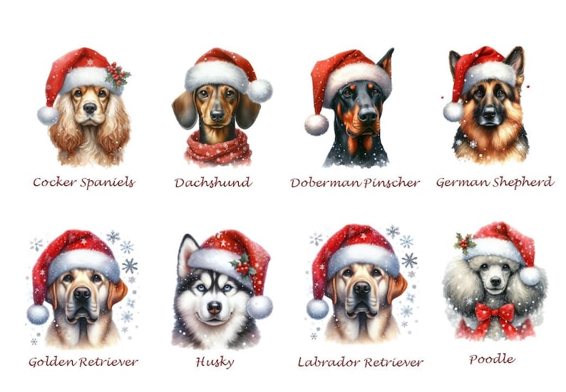 Dog Christmas Gift -Personalized Box Of Dog Treats - Dog Xmas Gift Box - Puppy Treats - Doggy Christmas Present- Doggy Treats image 7