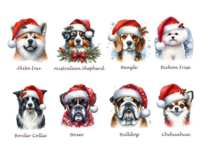 Dog Christmas Gift -Personalized Box Of Dog Treats - Dog Xmas Gift Box - Puppy Treats - Doggy Christmas Present- Doggy Treats image 6