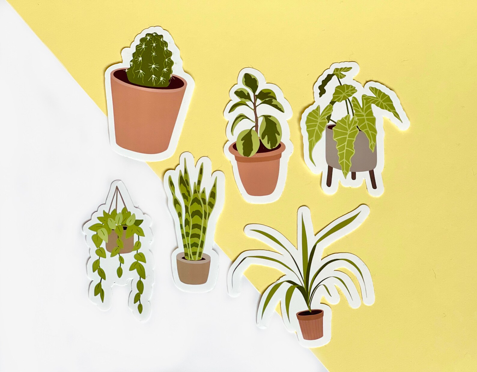 House Plant Vinyl Sticker Pack Decals Illustration Plant Etsy