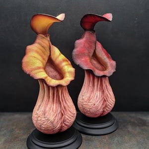May include: Two pitcher plants, one with a yellow and red hue and the other with a red and pink hue, are displayed on black bases. The plants are sculpted and have a realistic appearance.