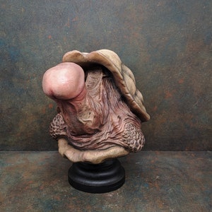Realistic PP turtle sculpture, oddity and horror decor image 4