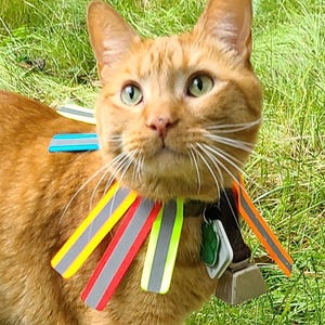 Correas reflectantes para collar anti-caza para gatos