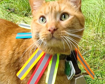 Reflective Straps for Anti-Hunting Cat Collar