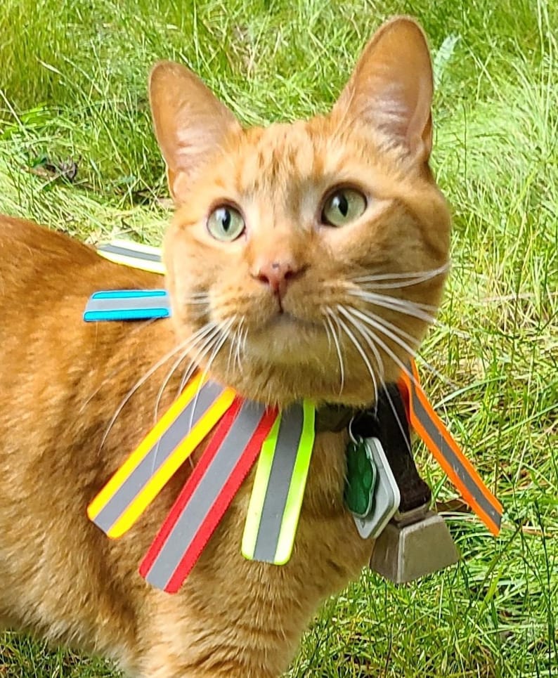 Reflektierende Bänder für Anti-Jagd-Katzenhalsband Bild 1