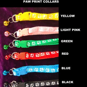 May include: Six cat collars in different colours with paw print designs and a bell. The colours are yellow, light pink, green, red, blue and black.