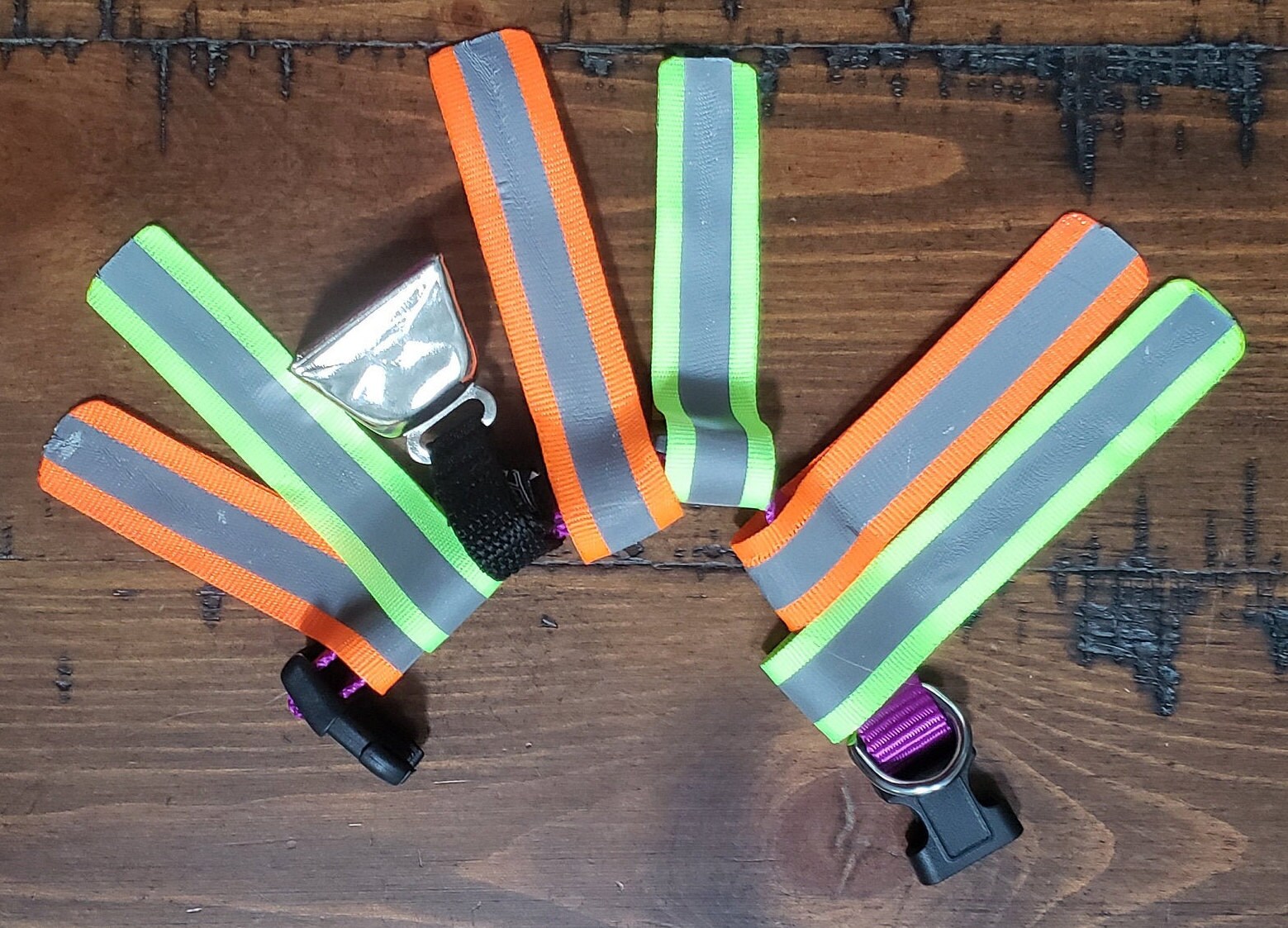 Anti-Hunting Cat Collar