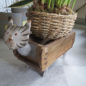 Katze mit Kasten