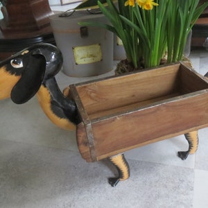 Hund mit Kasten