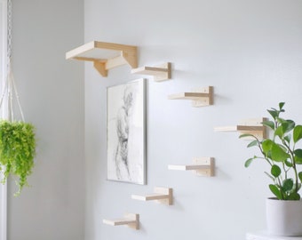 cat playground on wall