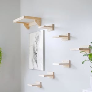 klättra Minimal Wall Mounted Cat Steps with Shelf, Bridge, and Bed Bundles