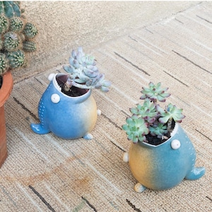 Indoor Succulent Pots, Ceramic Planter, Whale Lover Pots Gifts