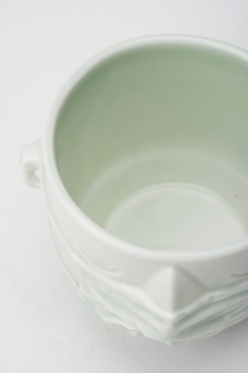 May include: A white ceramic planter with a textured, sculpted design. The planter has two handles on the sides and a wide, round opening.