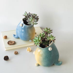 Pots pour succulentes d’intérieur, cache-pot en céramique, cadeau pour amateur de baleines