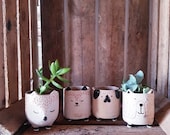 Cute little animal planters - 6cm - pick from a selection of 4 - pug cat bear fox