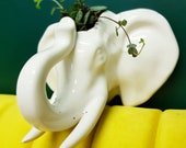 Elephant White Ceramic Wall Planter Plant Pot