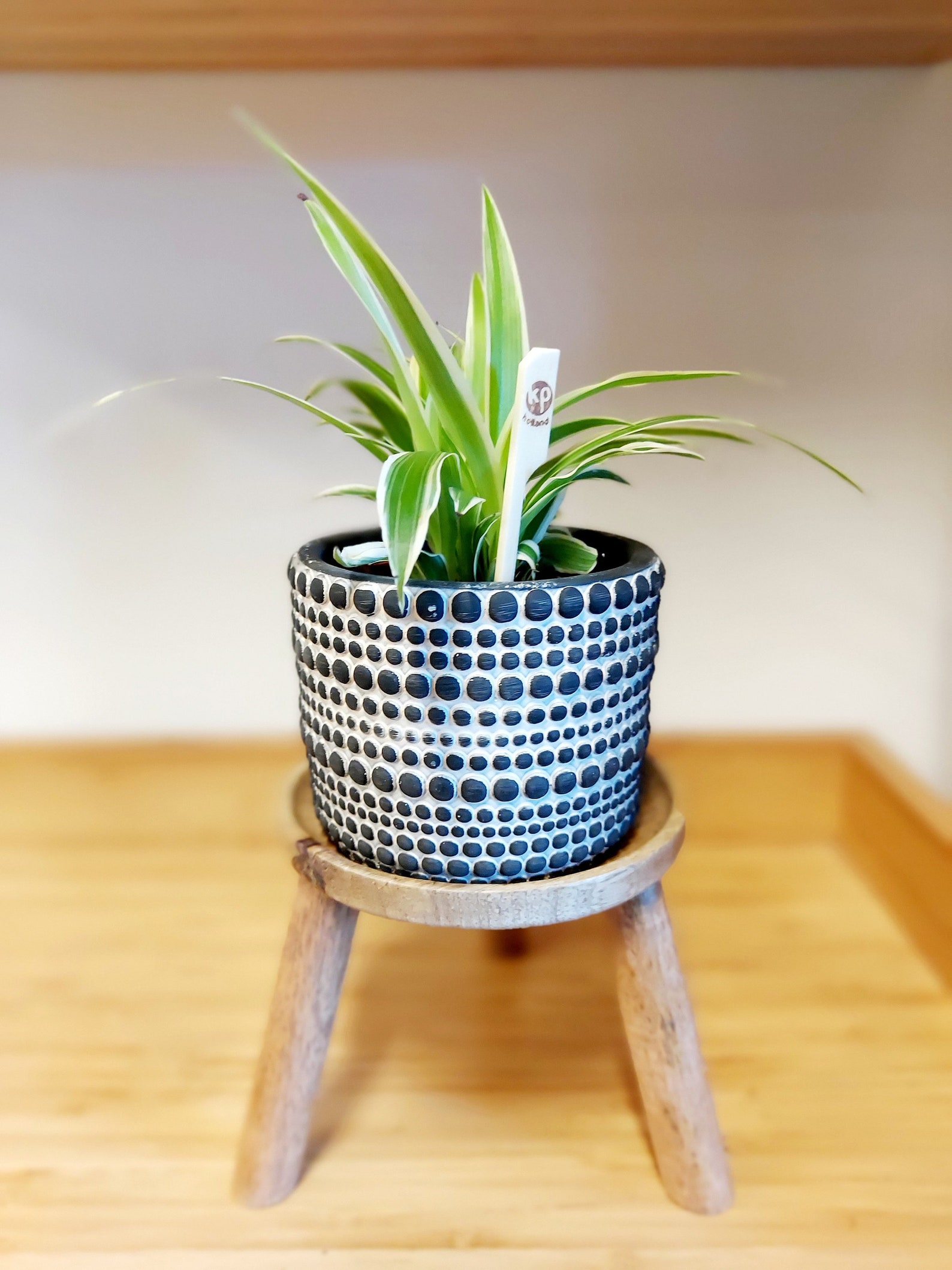 Small Wooden Plant Stool 12cm diameter x 15cm tall Etsy