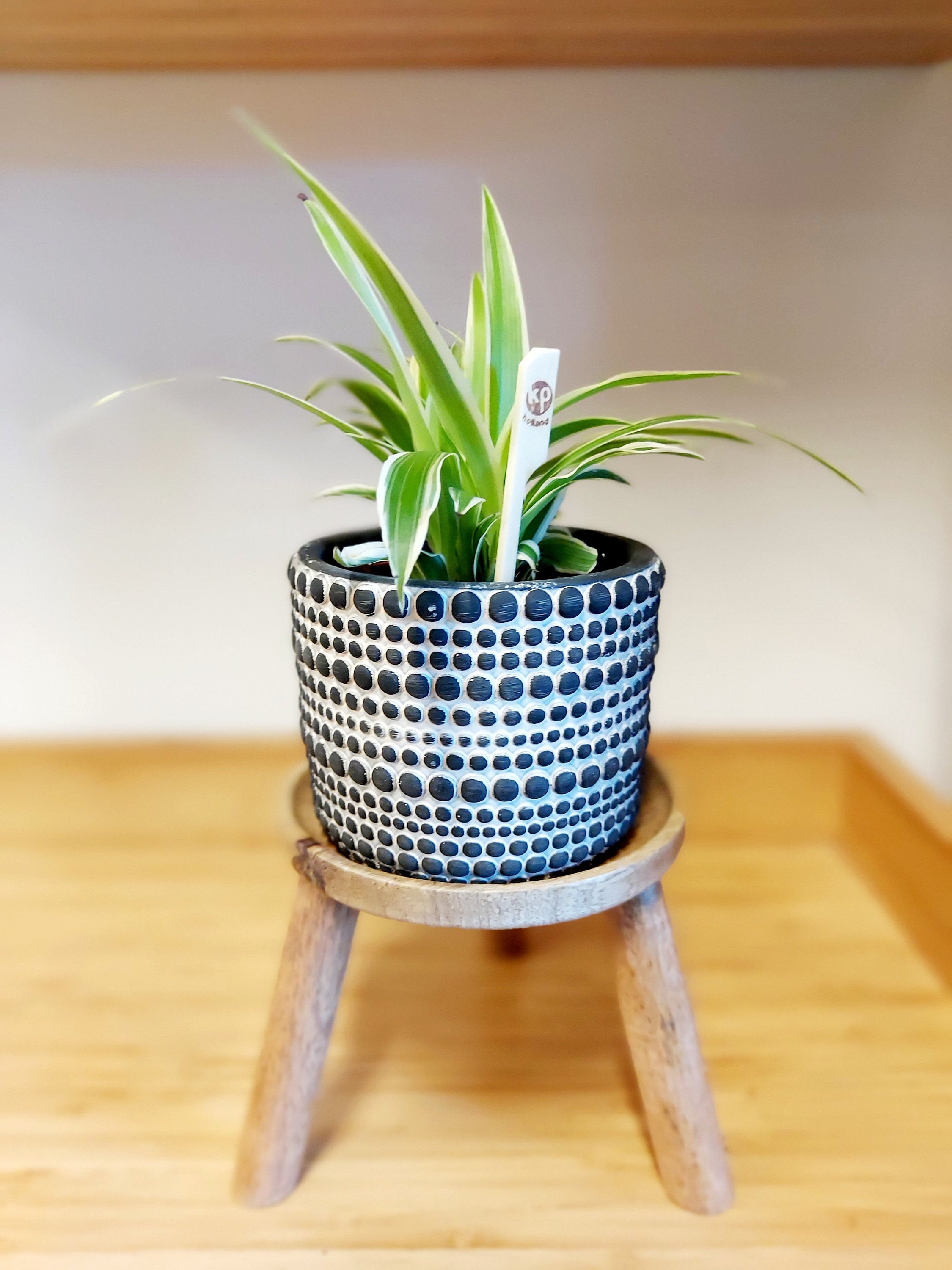 Small Wooden Plant Stool 12cm diameter x 15cm tall Etsy