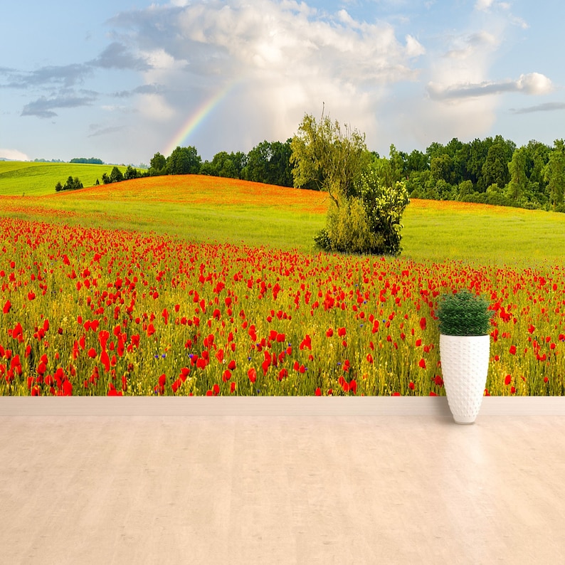 Rainbow Poppies self adhesive or paste /& glue wallpaper mural Rainbow after a rain storm over the meadow poppies wall art reusable