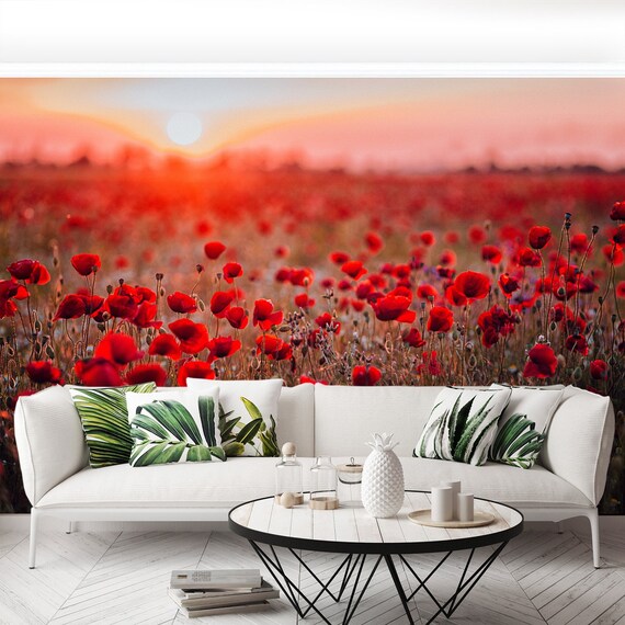 wallcovering Field of poppies on a sunset wallmural repositonable photomural mural photo Poppies Field traditional or removal mural
