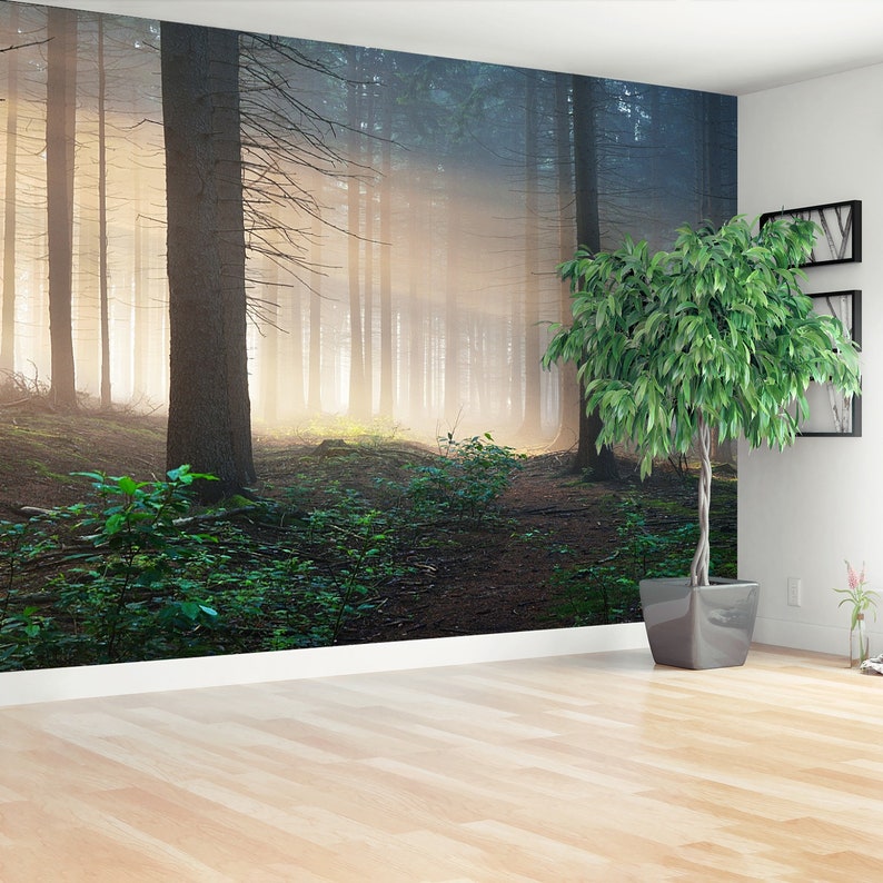 wallcovering Sun rays in a dark misty forest Osnabruck Sun rays traditional paste /& glue or removable photo wallpaper Gemany non woven