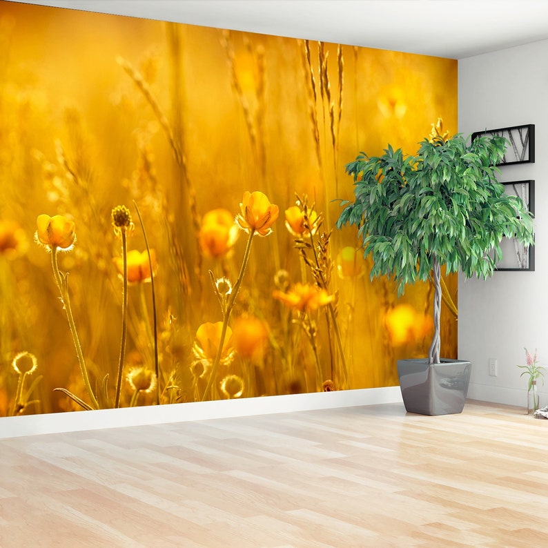 Meadow Flowers reusable or traditional photo wallpaper mural Rays of the setting sun on yellow flowers meadow flowers mural photo