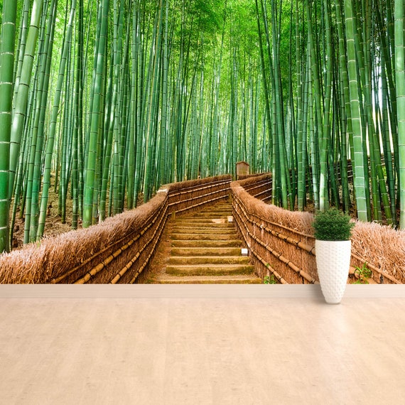 Fondo de pantalla / mural reposicionable del Bosque de Bambú - Etsy México