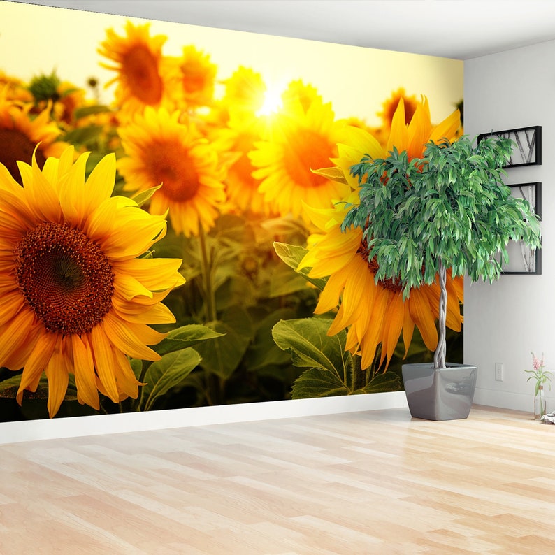 Sunflowers Adhesivie or Traditional Wall Mural Wallpaper Etsy