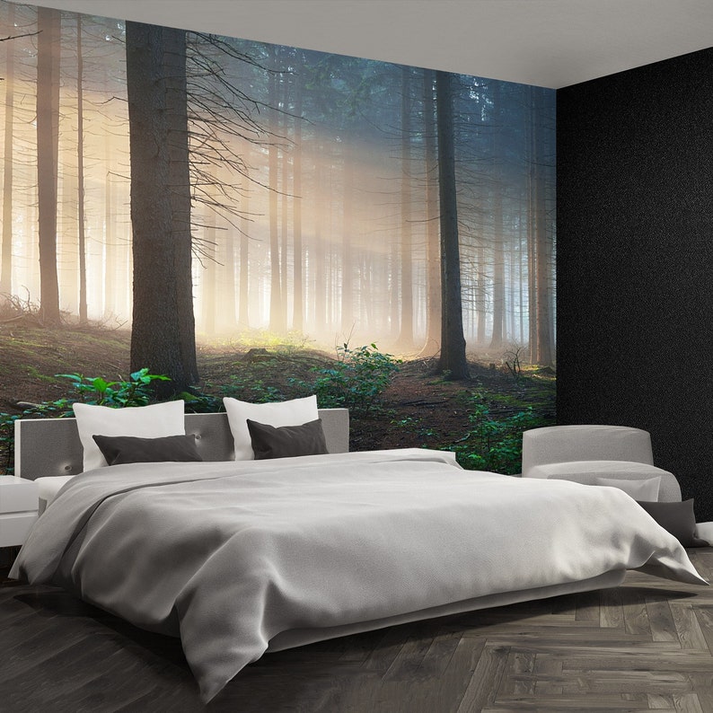 wallcovering Sun rays in a dark misty forest Osnabruck Sun rays traditional paste /& glue or removable photo wallpaper Gemany non woven