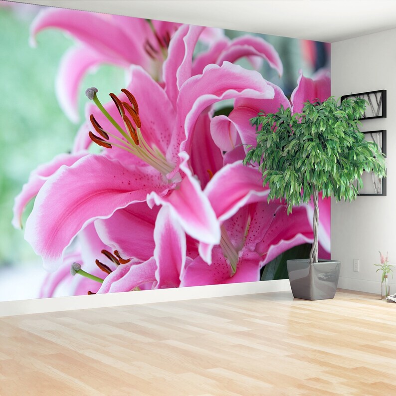 Pink Lily Removable or Traditional Wall Mural Wallpaper Pink - Etsy
