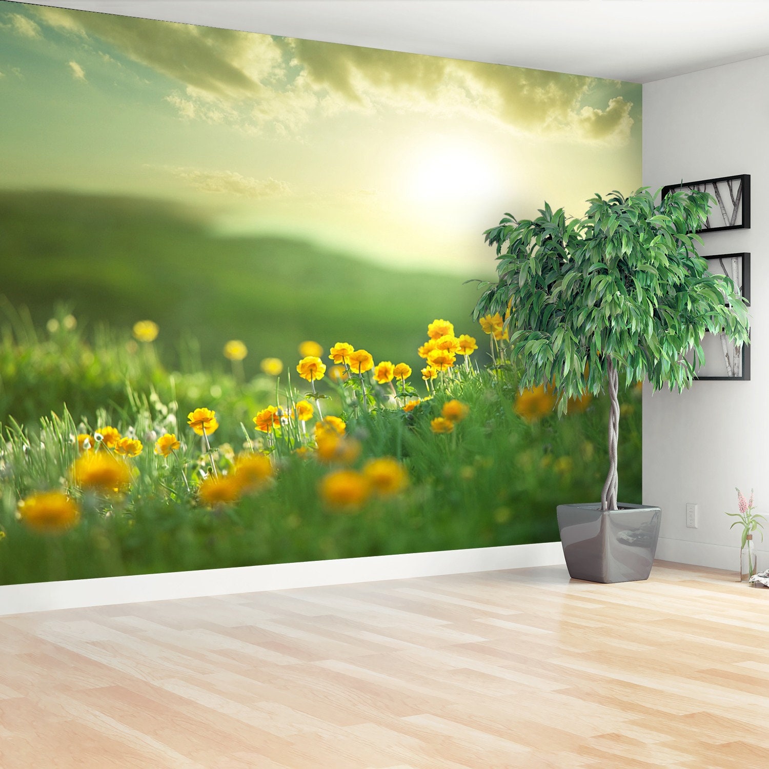 Meadow repositionable wallpaper wall mural meadow at morning Etsy