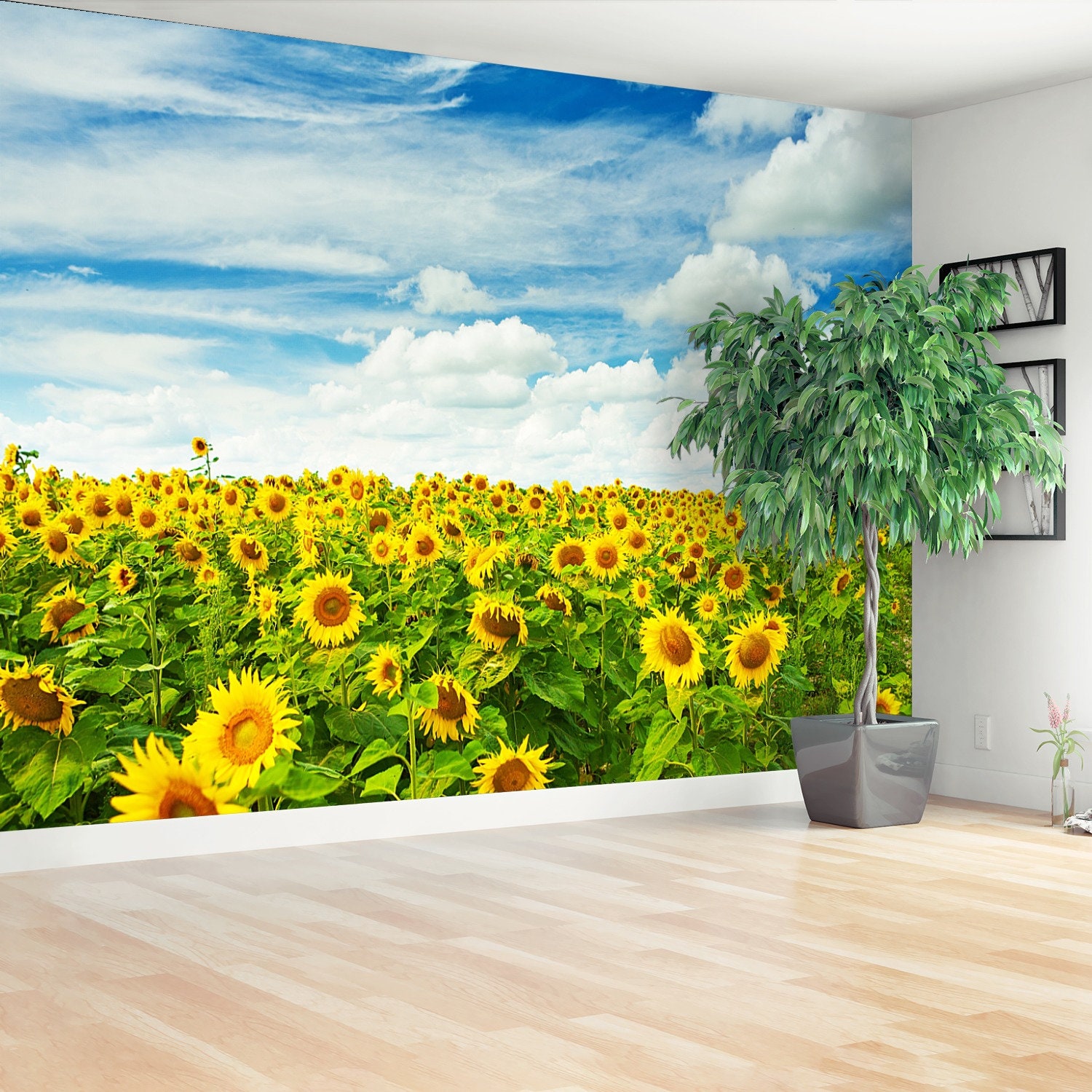 Field Sunflowers Traditional or Removal Wall Mural Wallpaper - Etsy