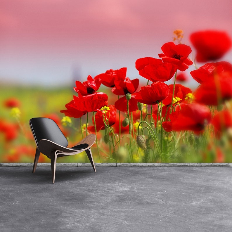wallcovering Field of poppies on a sunset wallmural repositonable photomural mural photo Poppies Field traditional or removal mural